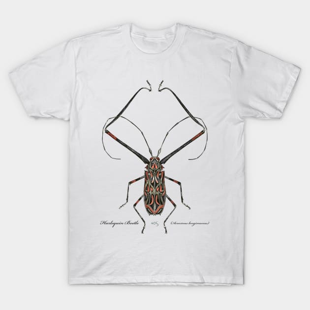 Harlequin Beetle - 2 T-Shirt by 40degreesSouth